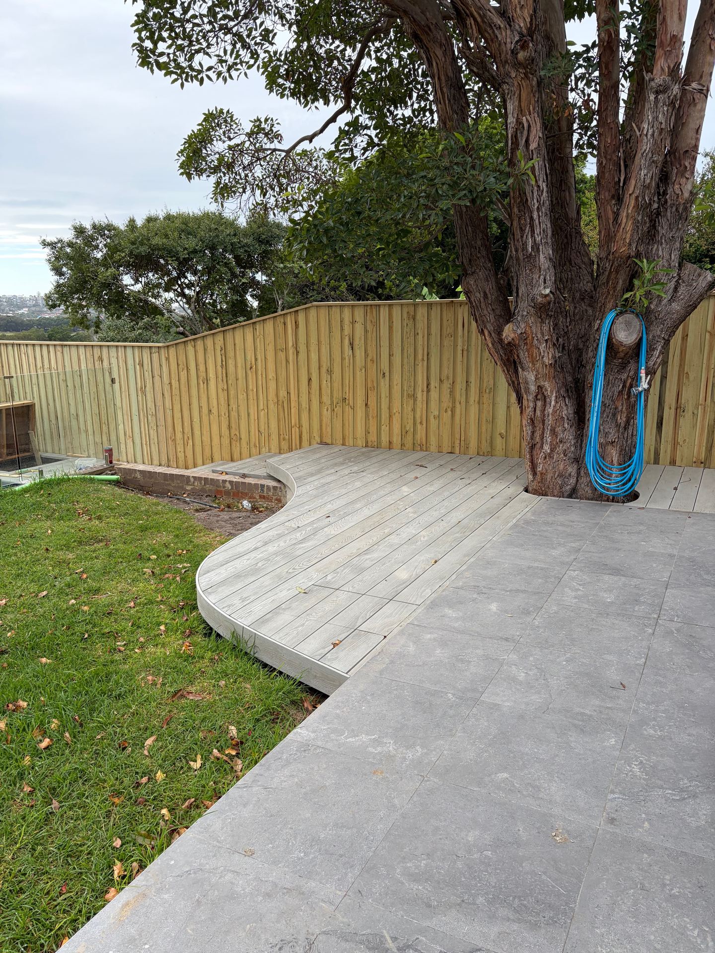 Curved timber deck built around an established tree